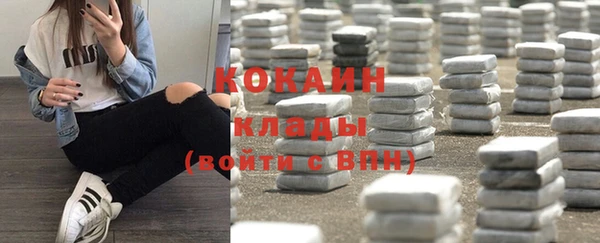 крисы Кукмор
