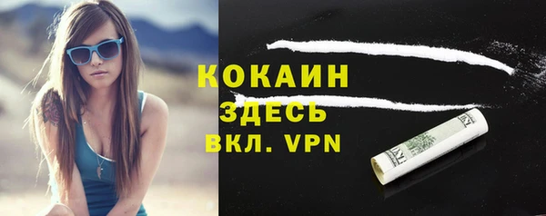 МДПВ Тайга