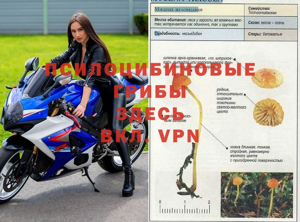 мдпв Куйбышев