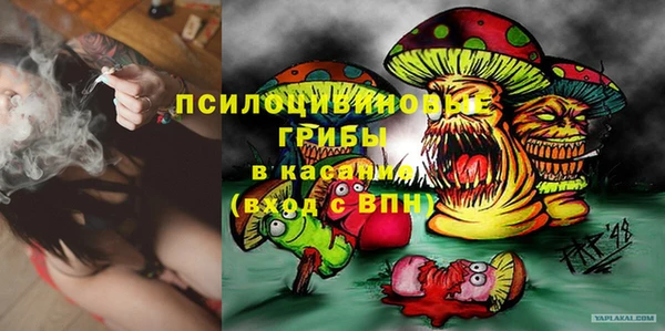 соль ск Кулебаки