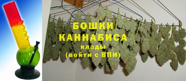 соль ск Кулебаки