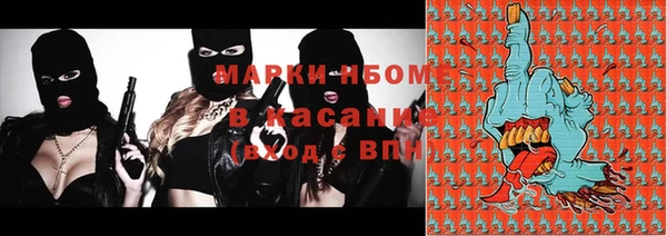 соль ск Кулебаки